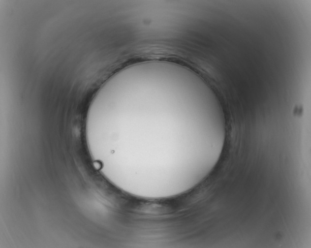 X0000113960315200909251033