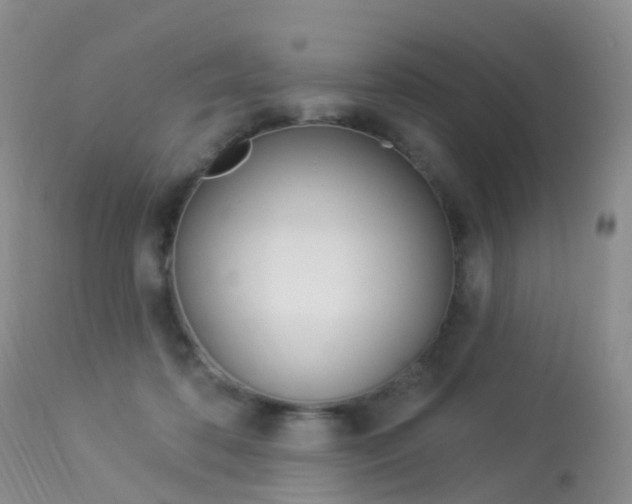 X0000113960316200909251033