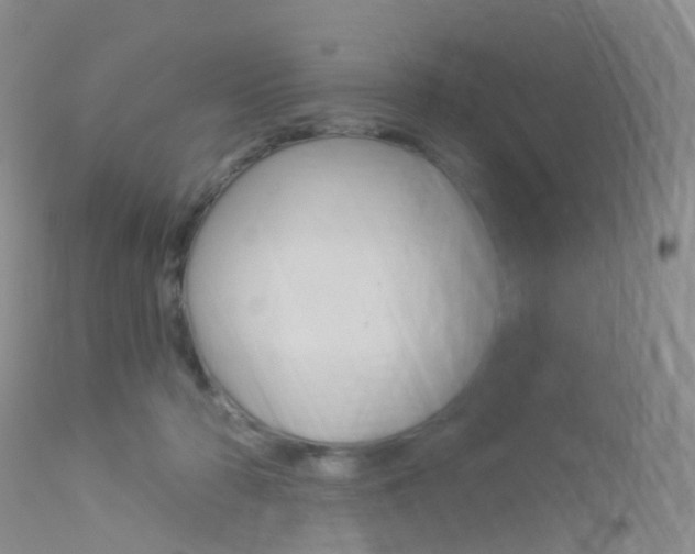 X0000113960318200909251033
