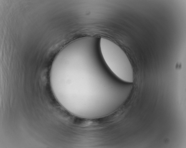 X0000113960319200909251033