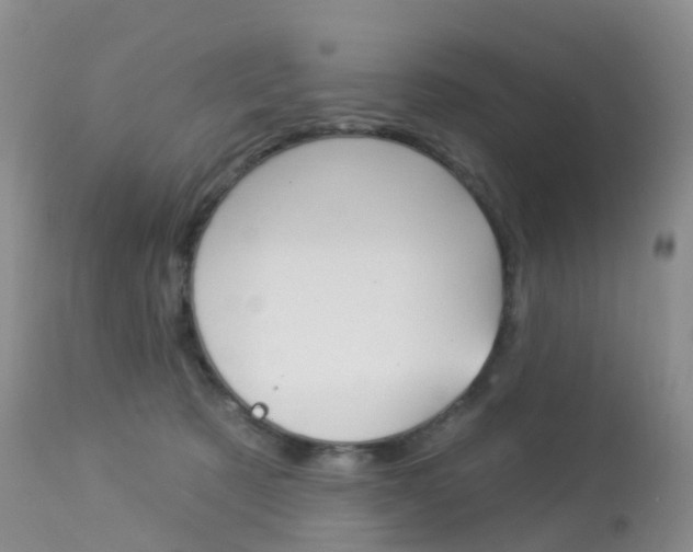 X0000113960321200909251033