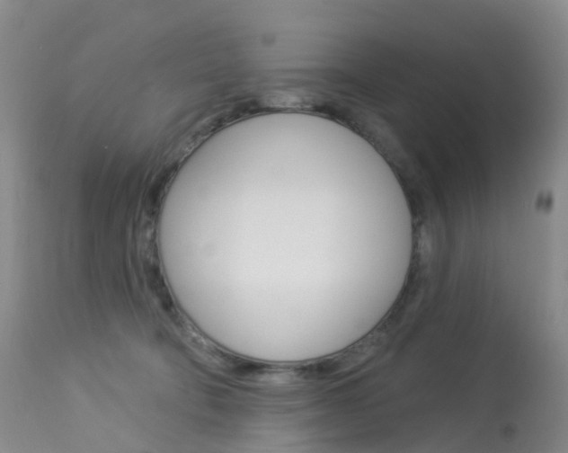 X0000113960322200909251033