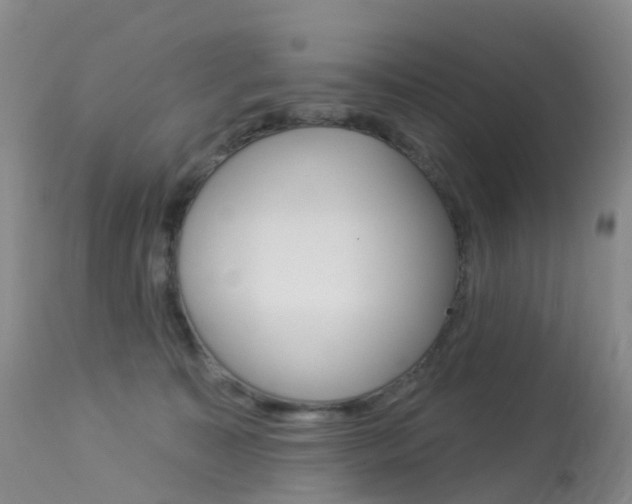 X0000113960323200909251033