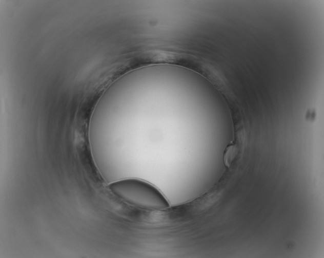 X0000113960325200909251033