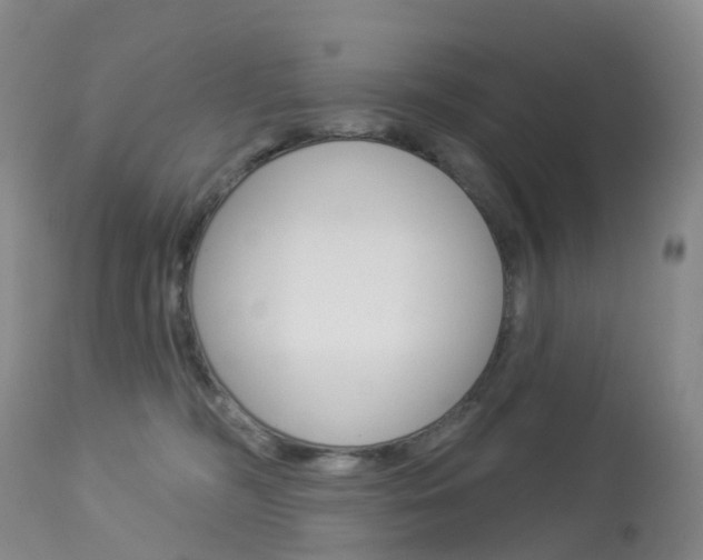 X0000113960326200909251033