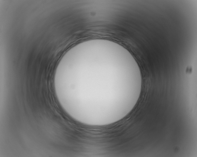 X0000113960327200909251033