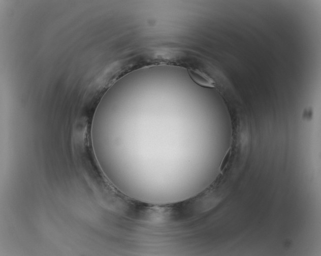 X0000113960328200909251033