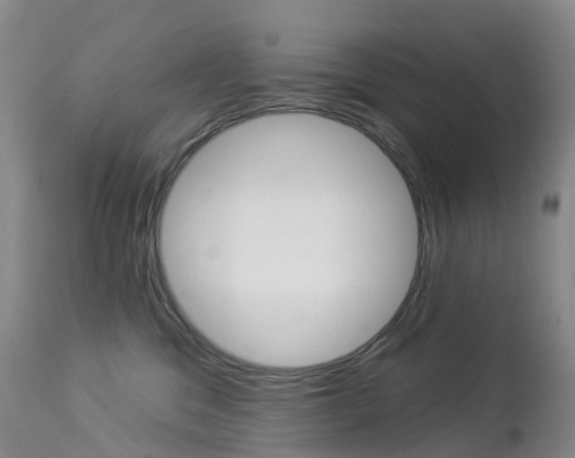X0000113960329200909251033