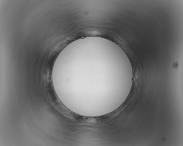 X0000113960330200909251033
