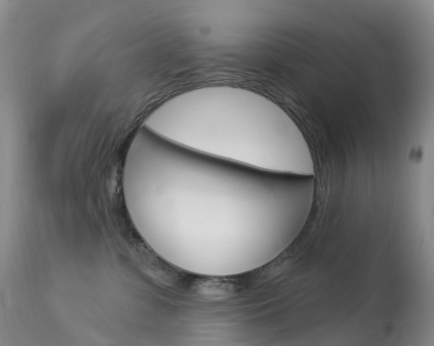 X0000113960331200909251033