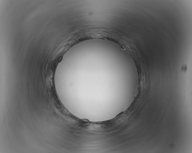 X0000113960332200909251033
