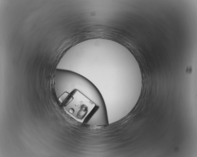 X0000113960333200909251033