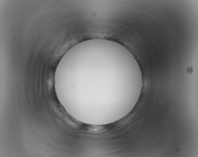 X0000113960334200909251033