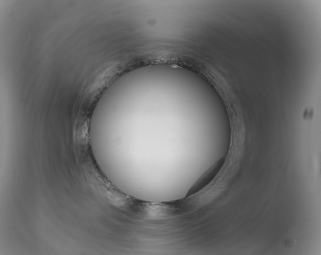 X0000113960336200909251032