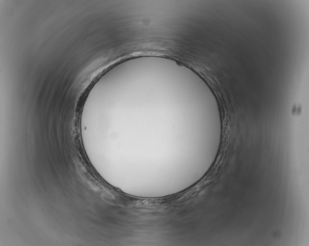 X0000113960338200909251032