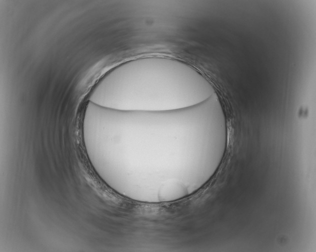 X0000113960339200909251032