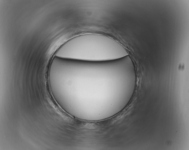 X0000113960341200909251032