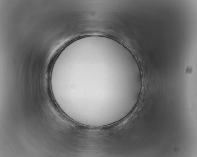 X0000113960342200909251032