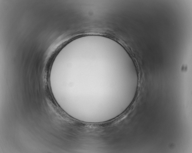 X0000113960343200909251032
