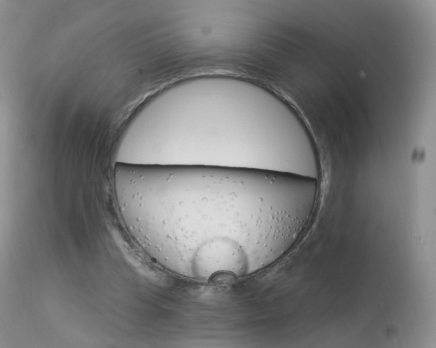 X0000113960345200909251032