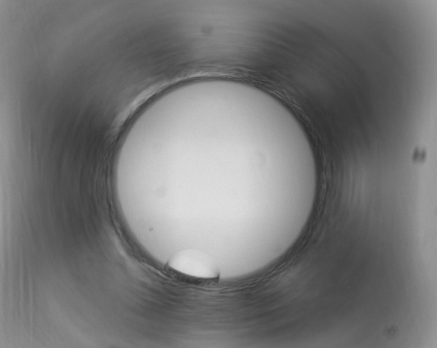 X0000113960348200909251032