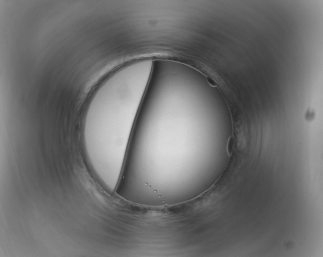 X0000113960350200909251032