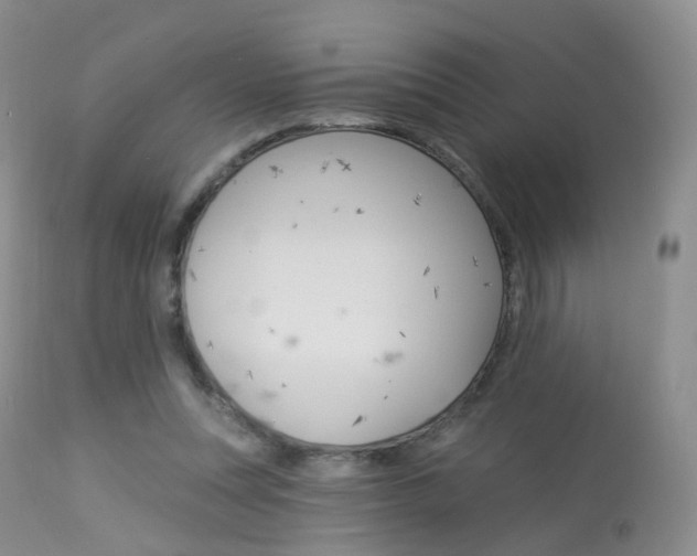 X0000113960351200909251032