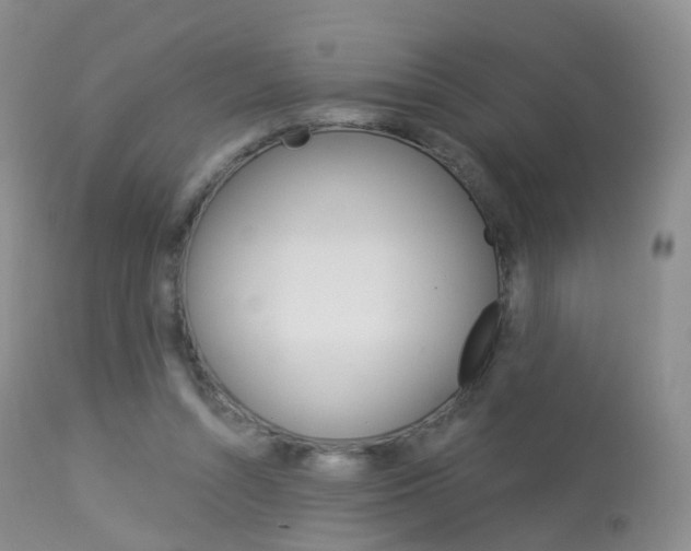 X0000113960352200909251032