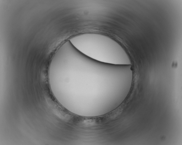X0000113960353200909251032