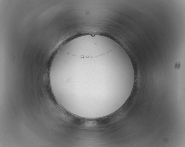 X0000113960355200909251032