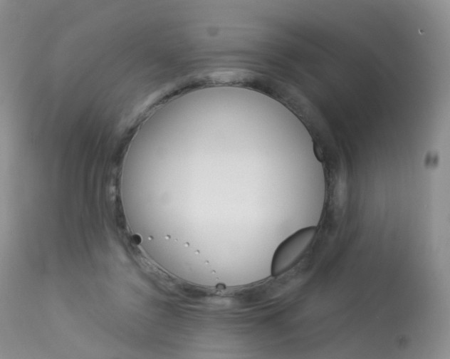 X0000113960356200909251032
