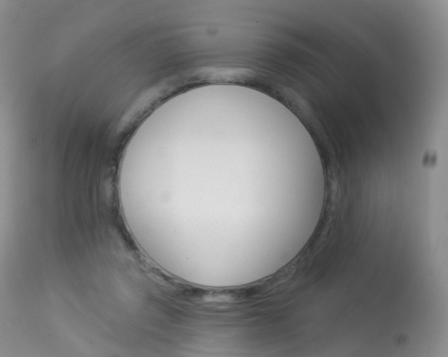 X0000113960357200909251032