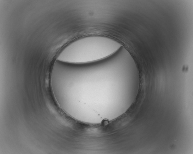 X0000113960358200909251032