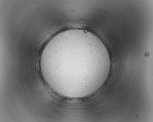 X0000113960359200909251032