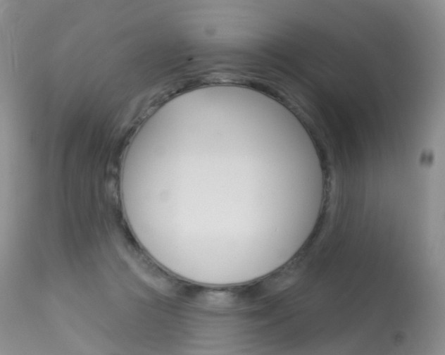 X0000113960361200909251032