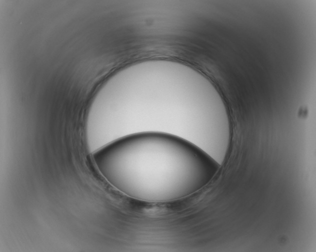 X0000113960362200909251032