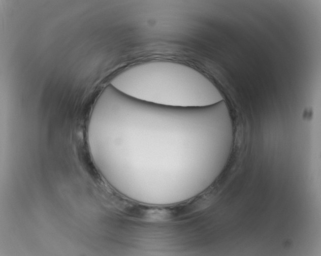 X0000113960363200909251032