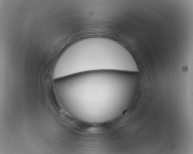 X0000113960364200909251032