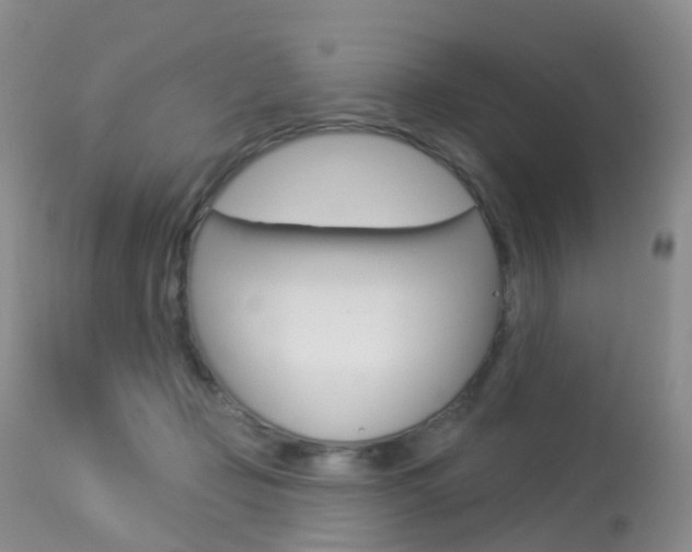 X0000113960365200909251032