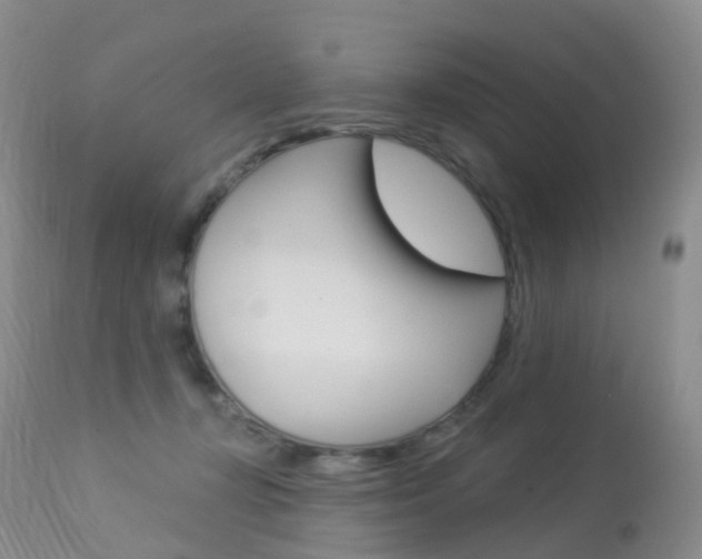 X0000113960367200909251032