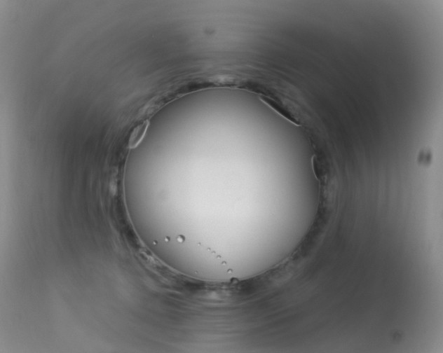 X0000113960368200909251032