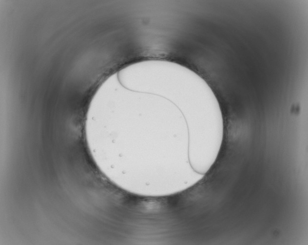 X0000113960370200909251032