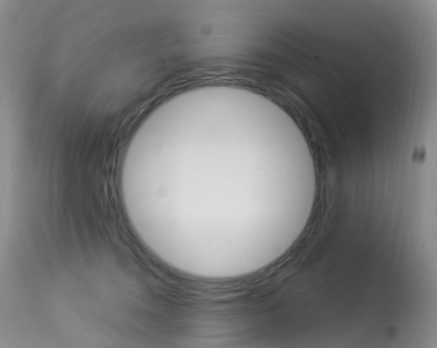 X0000113960372200909251032