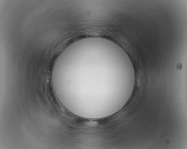 X0000113960374200909251032
