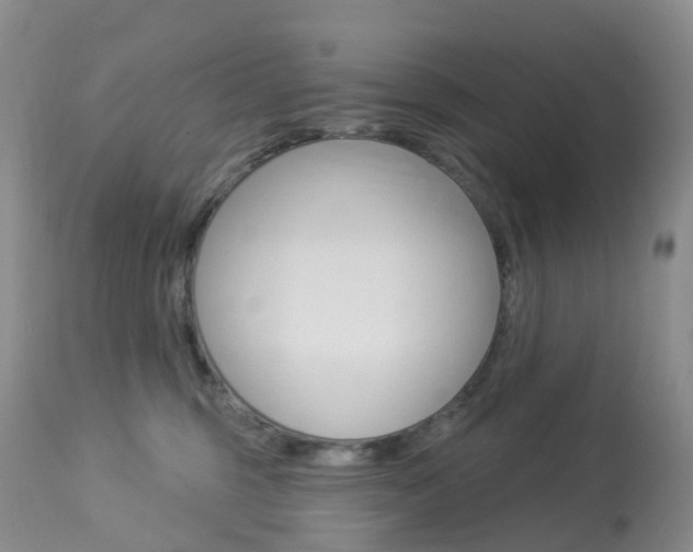 X0000113960375200909251032