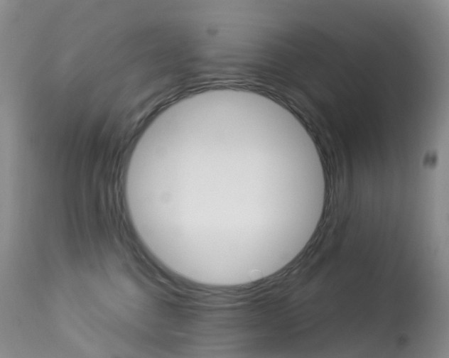 X0000113960376200909251032