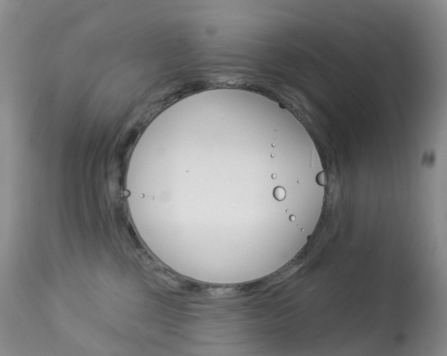 X0000113960377200909251032