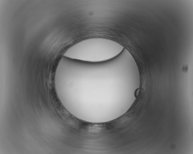 X0000113960378200909251032