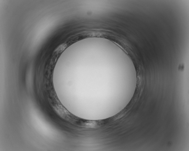 X0000113960381200909251032