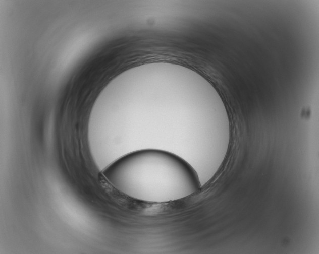 X0000113960382200909251032